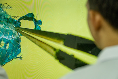 ����Բ̫һվʽ���ܽ������